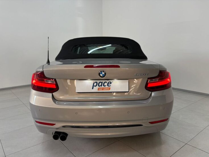 2017 BMW 220i CONVERT SPORT LINE A/T – Back Feature Photo