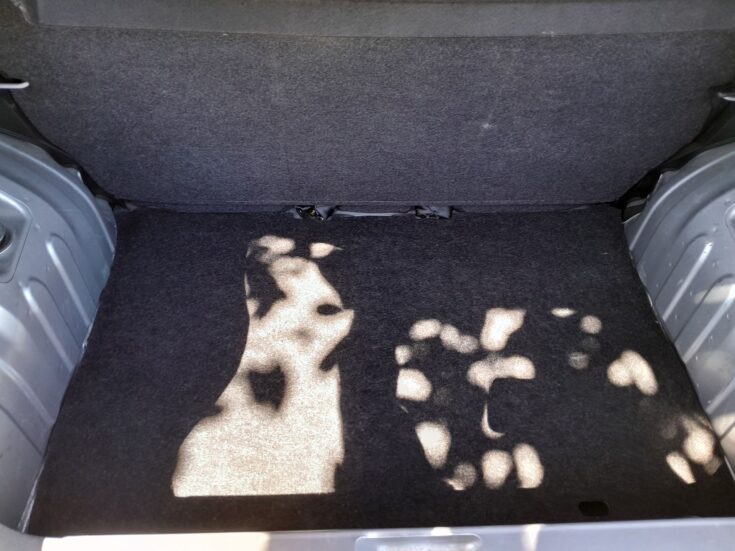 2023 RENAULT KWID DYNAMIQUE MANUAL – Boot / Loadbin