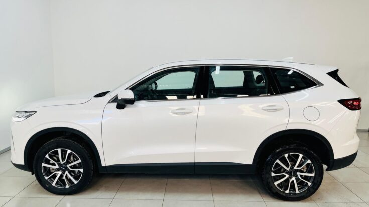 2024 HAVAL H6 2.0T PREMIUM DCT - Back Photo